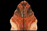 Tall, Arizona Petrified Wood Bookends - Red & Black #131794-1